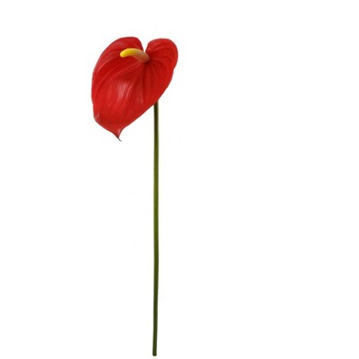 Floral Home 29" Anthurium - 12-Piece