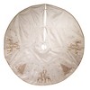 Kurt Adler 72-Inch White Tree Skirt with Gold Glitter Tree and Reindeer Design - image 2 of 4