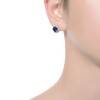 Elegant Round-Shaped Stud Earrings Featuring a Vibrant Array of Colored Cubic Zirconias for a Dazzling Effect - 2 of 3