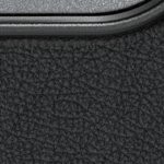 san francisco giants