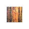 Yosemite Home Decor The Road Traveled - 3 of 3