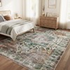 COZONY Washable Area Rug for Living Room, Vintage Distressed Accent Carpet, Non-Slip, Low Pile, Stain Resistant - 4 of 4