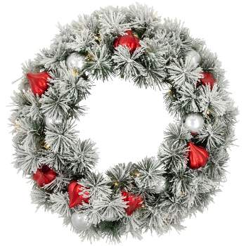 Northlight Pre-Lit Battery Operated Snowy Bristle Pine Christmas Wreath - 24" - Warm White LED Lights