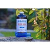 Alkalol - A Natural Soothing Nasal Wash, menthol, 2 Piece Set 1 Count - 4 of 4