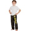 Intimo Harry Potter Boys Houses Plaid Pajama Lounge Pants - 4 of 4