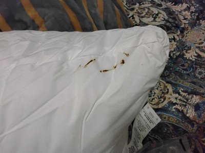 Guest review image 2 of 2, zoom in