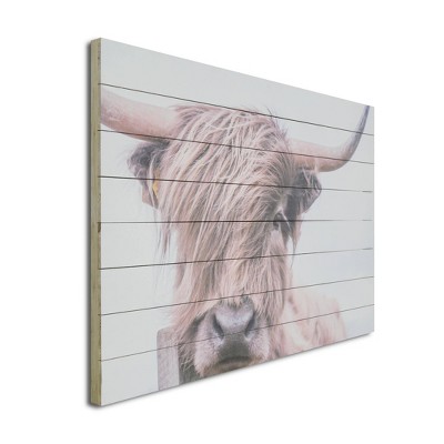 Highland Cow Photographic Print on Fir Wood Wall Art