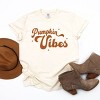 Simply Sage Market Pumpkin Vibes Stars Garment Dyed Tee - 3 of 4