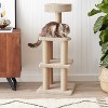 Cat Tree - Indoor Cat & Kittens Multi-Level Climbing Activity Tower with Scratching Posts - 4 of 4