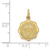 Black Bow Jewelry 14k Yellow Gold Registered Nurse Disk Charm, 14mm - 4 of 4