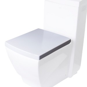 ALFI EAGO R-336SEAT Replacement Soft Closing Toilet Seat for TB336 - 1 of 1