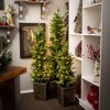49"H Sullivans Artificial Medium LED Pine Christmas Tree Planter, Green, Indoor Christmas Decor - 3 of 4