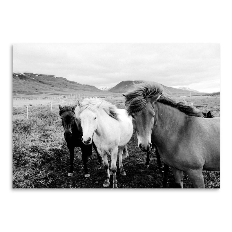 Americanflat Animal Landscape Farm Horses Black And White By Nuada Poster, 1 of 7