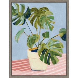 Amanti Art Plant on Pink II by Victoria Borges Canvas Wall Art Print Framed 18 x 24-in. - 1 of 4