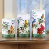 Collections Etc LED Lighted Realistic Winter Birds 3-Piece Candle Set 3 X 3 X 6 - 2 of 2