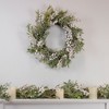 Northlight Artificial Christmas Wreath with Frosted Foliage and Berries, 20-Inch, Unlit - 2 of 4
