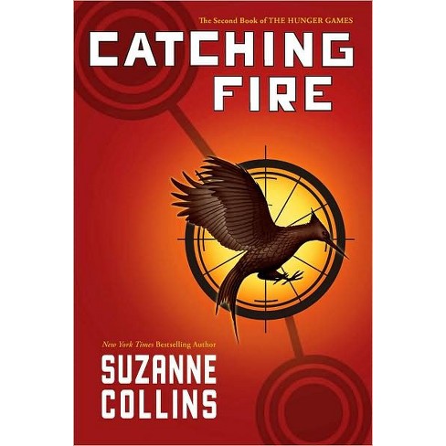 Image result for catching fire book