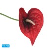 Unique Bargains Artificial Anthurium Lily Flowers for Home Decor 10 Pcs - 3 of 4