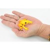 Collectible Wildlife Gifts | Golden Poison Dart Frog, Yellow and Red, Hand Painted, Amphibian, Hard Rubber, Realistic Frog, Toy, Gift,   2"   F4409 B9 - 3 of 4