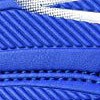 royal/white