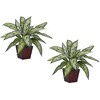 Nearly Natural Silver Queen Artificial Plant (Set of 2) - 2 of 3