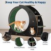 Cat Exercise Wheel for Indoor Cats - 48" Large Cat Running Wheel with 3-Level Jumping Tower, Quiet Spinner Hamster Wheel - 2 of 4