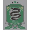 Boy's Harry Potter Quidditch Slytherin Team Crest Pull Over Hoodie - 2 of 4