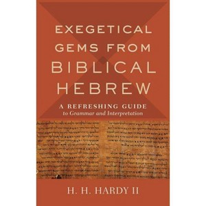 Exegetical Gems from Biblical Hebrew - (Hardcover) - 1 of 1