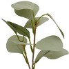 Faux Foliage Eucalyptus - Bullseye's Playground™ - 2 of 3