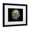 Trademark Fine Art - Brian Carson Backyard Flowers 46 Matted Framed Art - 3 of 4