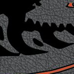 anaheim ducks