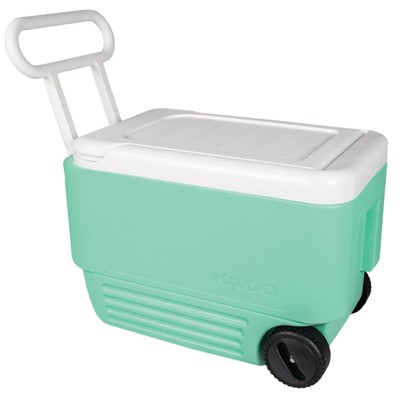 Aqua best sale igloo cooler