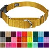 Country Brook Petz Heavy Duty Nylon Martingale Dog Collar with Deluxe Buckle - 30+ Vibrant Color Options - 2 of 4