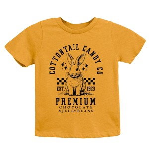 The Juniper Shop Cottontail Candy Premium Chocolate Youth Short Sleeve Tee - 1 of 4