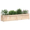 vidaXL Garden Planter 59.1"x12.2"x12.2" Solid Wood Pine - 4 of 4