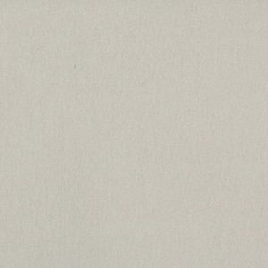 Bazzill Card Shoppe Heavyweight Cardstock 12"X12" - 1 of 1