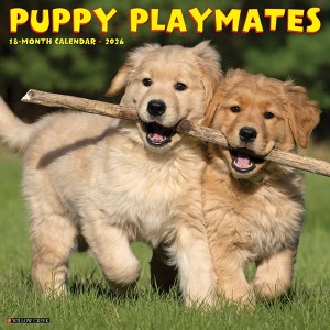 Willow Creek Press 2026 Puppy Playmates Wall Calendar - 1 of 4