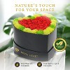 Moss Heart Petite 30 Preserved Roses with Moss – Eternal Flowers in Heart Gift Box, Romantic Décor Gift, Red - 3 of 4