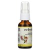 Eclectic Herb Kid's Throat Spray, Propolis Astragalus, 1 fl oz (30 ml) - 4 of 4