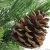 Northlight 2 FT Mixed Cashmere Berry Pine Medium Artificial Christmas Tree - Unlit - image 4 of 4