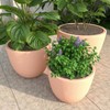 LeisureMod Dahlia Tapered Round Poly-Stone Planter Set with Drainage Holes, Weather-Resistant for Indoor/Outdoor Use – Set of 3 - 2 of 4