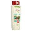 Old Spice Men's Body Wash - Fiji with Palm Tree - 2 of 4