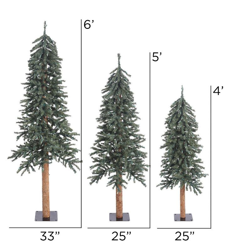 Vickerman Natural Bark Alpine Artificial Christmas Tree Set Unlit, 3 of 5