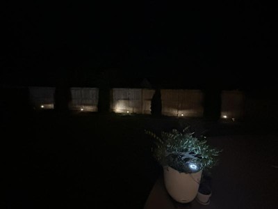Guest review image 3 of 4, zoom in