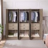 Manhattan Comfort Set of 3 Lee 2 Door Wardrobe Closets - 3 of 4
