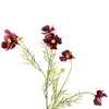 Allstate Floral Artificial Floral Cosmos Spray - 28" - Burgundy - 3 of 4
