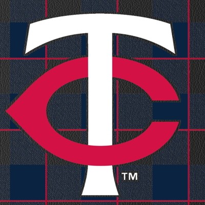 minnesota twins