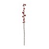 Melrose Berry Twig Stem (Set of 6) - 3 of 3