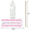 Big Dot of Happiness Funny Pink Snowflakes 1st Birthday - Girl Winter ONEderland Party Photo Booth Props Kit - 10 Piece - 3 of 4