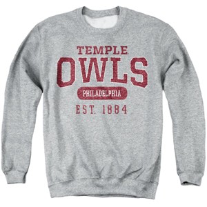 Men's Temple University Est. Date Crewneck Sweatshirt - 1 of 4
